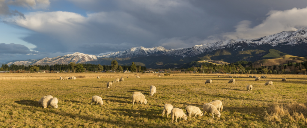 wedding venues New Zealand