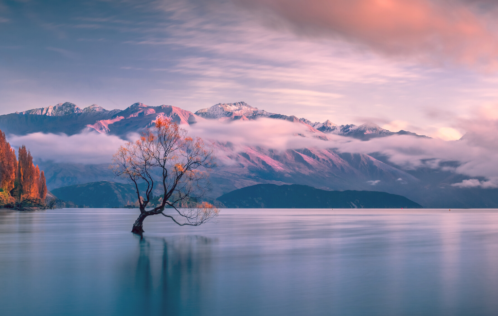 Explore the Beauty of Autumn in NZ – The Best North and South Island Destinations.