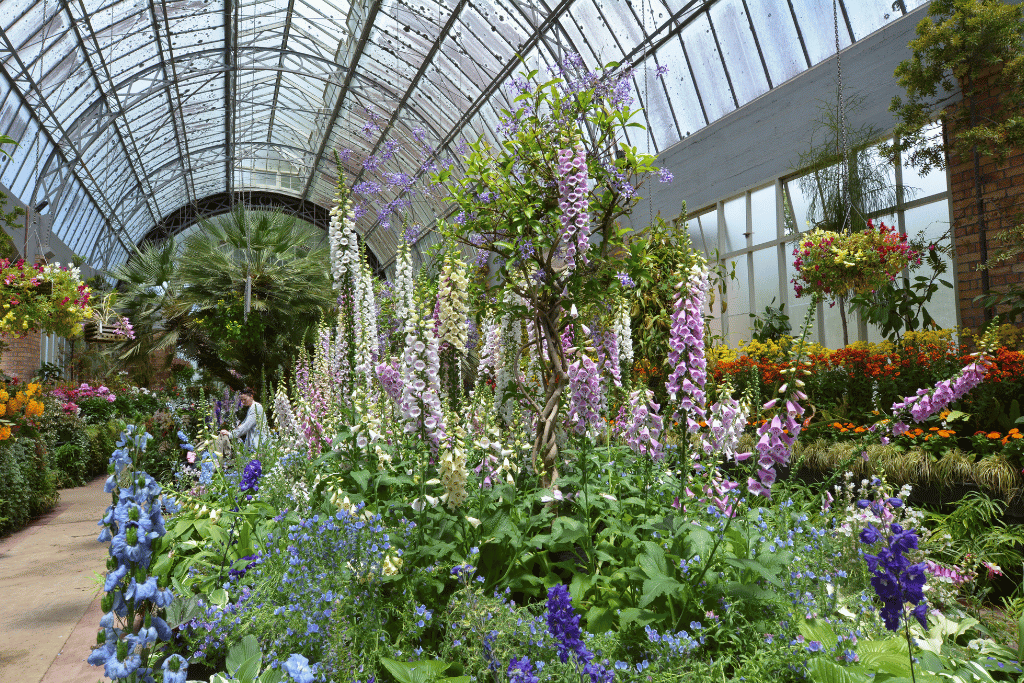 Winter Gardens auckland