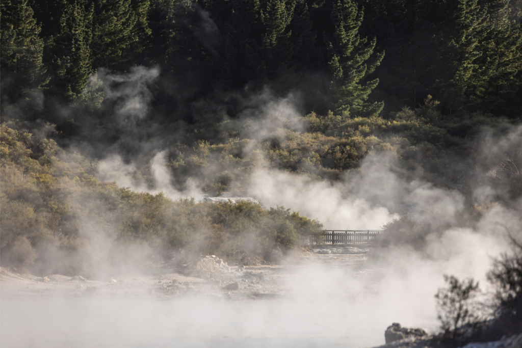 Rotorua Geothermal Tracks 