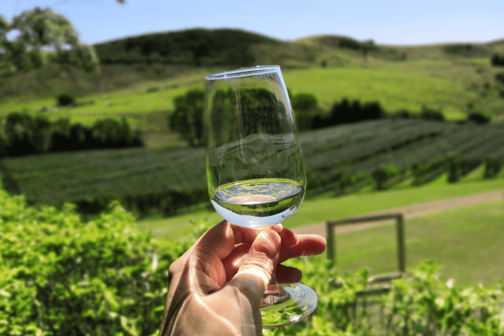 autumn wine tasting trip in New Zealand