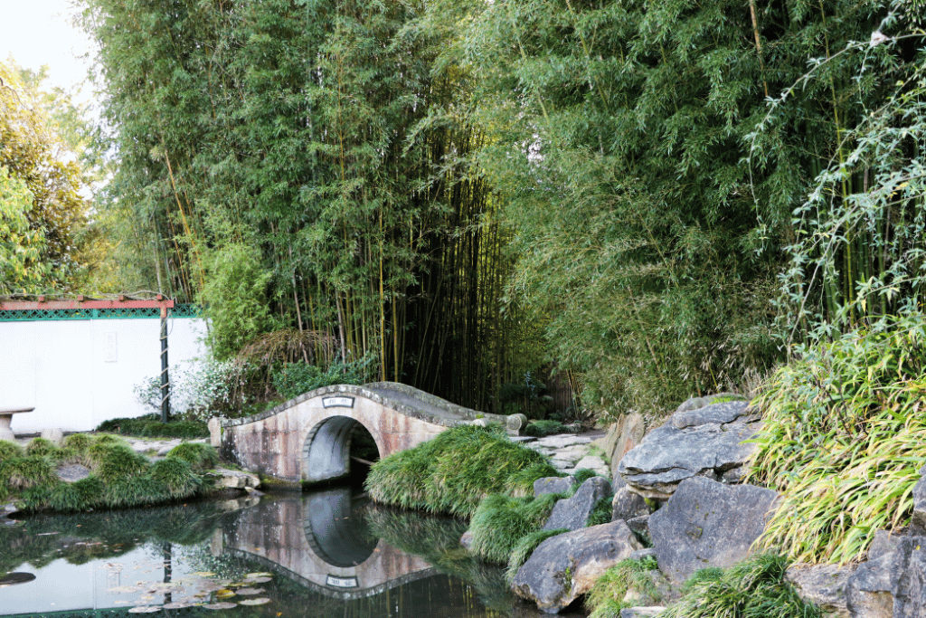 Hamilton Gardens