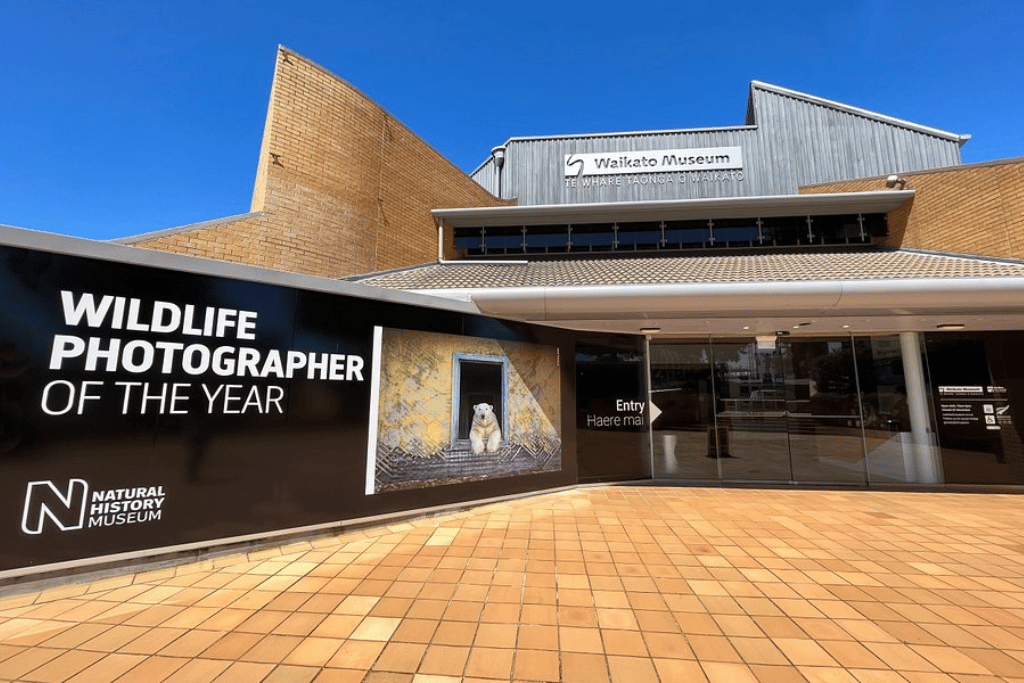 Waikato Museum