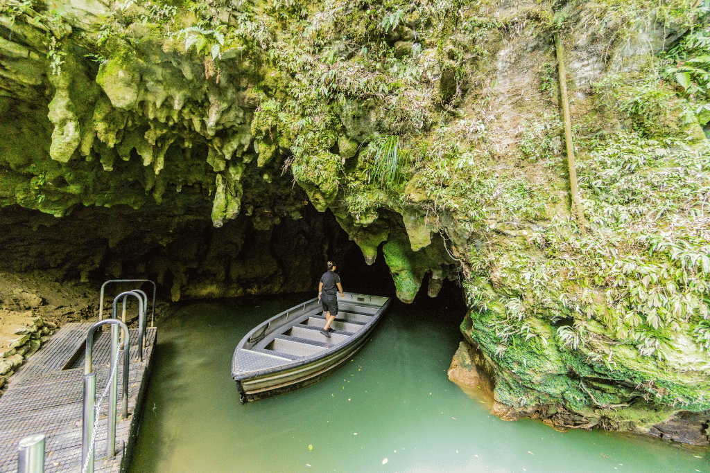 Waitomo Glowworm Caves