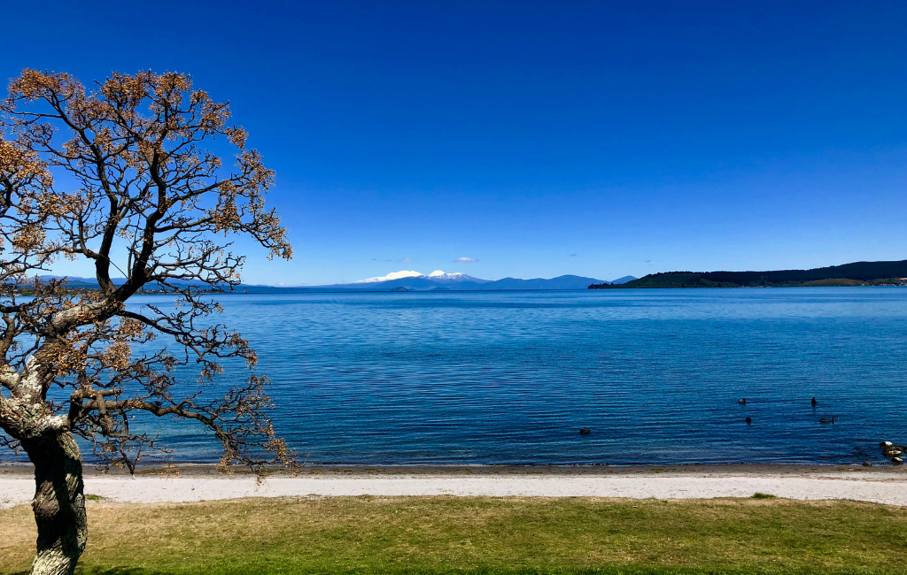 Discover the Best Free Things to Do in Taupo: Your Guide to an Affordable Adventure
