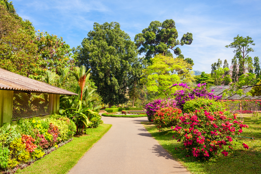 Auckland Botanic Gardens