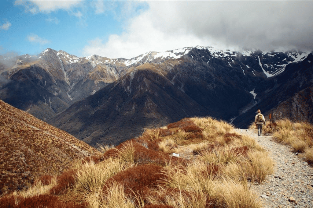 Christchurch to Authurs Pass