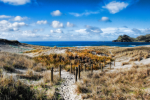 Great Barrier Island