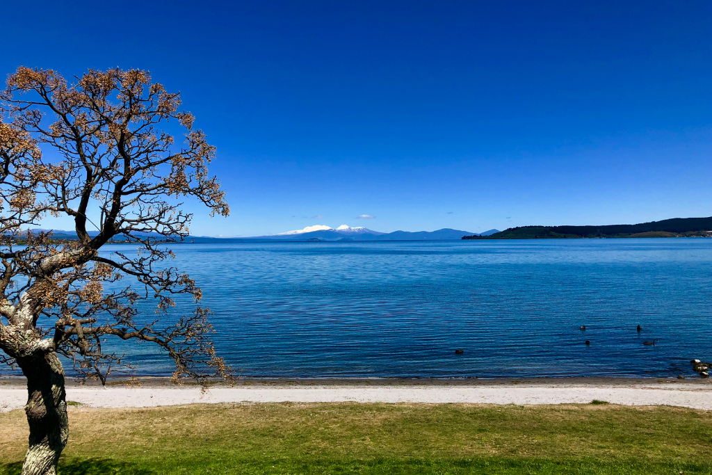 Swimming in Lake Taupo